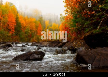 Farbenfroher Herbstwald mit Fluss und Felsenbach in malerischer Landschaft Stockfoto