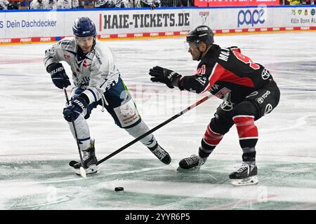 Eishockey DEL - 24/25 - 29. Spieltag: Kölner Haie vs Straubing Tigers am 22.12.2024 im in der LANXESS Arena in Köln Straubings Taylor Leier ( Nr.7) gegen Kölns Moritz Müller ( Nr.91) Foto: Osnapix Stockfoto