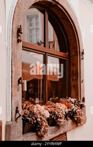pantone-Palette. Berühmte Fassaden von Prag. Wunderschöner Balkon mit Blumen vor einer braun-orangen Wand. Wunderschöne Blumen auf der Fensterbank Stockfoto