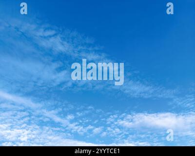 Leuchtend blauer Himmel voller verstreuter, geschwollener weißer Cumulus-Wolken. Stockfoto