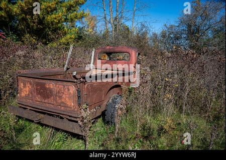 Der alte Ford-Pick-up-Truck steht dauerhaft auf einem Feld Stockfoto