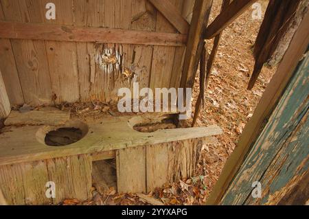 Im alten Holzhaus im Wald. Altmodische Holztoilette isoliert mit Bäumen und braunen trockenen Blättern auf dem Boden an einem bewölkten Tag. Stockfoto