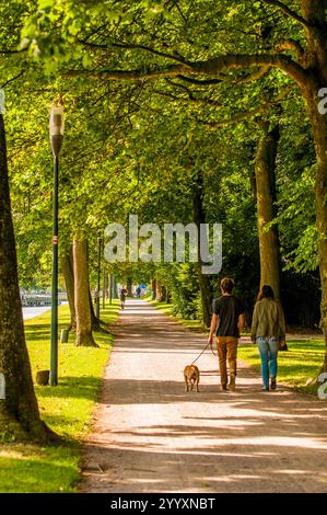 Spaziergang entlang des Kruisvest-Kanals, Brügge, Westflandern, Belgien. Stockfoto