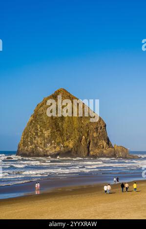 Strandbesucher am Cannon Beach und Haystack Rock, Cannon Beach, Oregon. Stockfoto