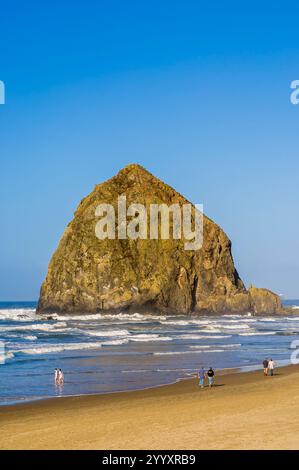 Strandbesucher am Cannon Beach und Haystack Rock, Cannon Beach, Oregon. Stockfoto