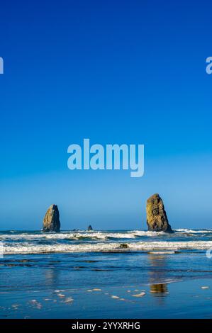 Rocks am Cannon Beach, Oregon. Stockfoto