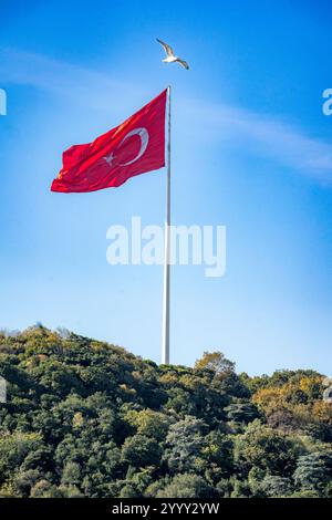 Istanbul, TR - 23. Okt. 2024 Eine große türkische Flagge mit rotem Hintergrund, weißem Stern und halbmondförmigen Wellen auf einem hohen Pol über einem grünen, bewaldeten Hügel, wi Stockfoto