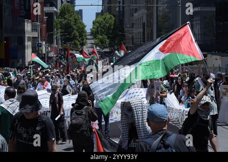 Melbourne, Victoria, Australien. Dezember 2024. Hunderte von Menschen protestieren in Melbourne gegen den Völkermord in Palästina und die Mittäterschaft der australischen Regierung in Solidarität mit den Palästinensern. Free Palestine Melbourne lehnt neue Anti-Protest-Gesetze und den Justice Legislation Amendment der viktorianischen Regierung (Anti-Folification and Social Cohesion Bill 2024) ab, um demokratische und bürgerliche Rechte zu verletzen. (Kreditbild: © Rana Sajid Hussain/Pacific Press via ZUMA Press Wire) NUR REDAKTIONELLE VERWENDUNG! Nicht für kommerzielle ZWECKE! Stockfoto