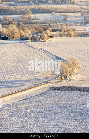 Landstraße auf verschneiten Feldern mit frostigen Bäumen in einer winterlichen ländlichen Landschaft Stockfoto