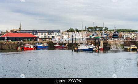 Arbroath, Angus, Schottland, Großbritannien - 16. September 2023: Boote im Gezeitenhafen in Arbroath Stockfoto