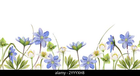 Frühlings-Ephemeren-Blüten, weiße Waldanemone Kerzenblut, blauer hepatica Vergissmeinflachs, Gras, handgezeichnet in Aquarellen. Nahtloses Banner Stockfoto