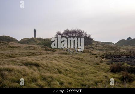 Norderney, Niedersachsen, Deutschland - Dünenlandschaft mit Leuchtturm Norderney im November. Norderney ist eine der ostfriesischen Inseln im Norden Stockfoto