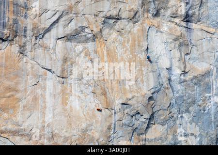 Yosemite National Park, Kalifornien – Felskletterer am El Capitan, einer häufig bestiegenen Felswand über dem Yosemite Valley im Yosemite National Park. Die Stockfoto