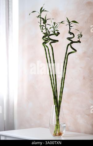 Wunderschöne grüne Bambusstämme in Vase auf dem Tisch drinnen Stockfoto