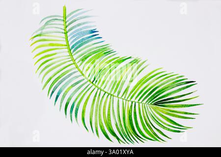 Trendige tropische Palmblätter im Sommer. Aquarellmalerei Illustration auf Papier die tropische Laubpflanze, isoliert auf weißem Hintergrund. Stockfoto