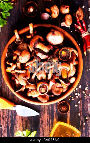 Rohe Pilze mit Gewürzen und Salz in einer Schüssel auf einem Tisch Stockfoto