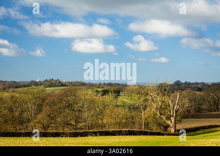Sanfte, sanfte Landschaft des hohen weald Farmland und Wälder in der Nähe von Great Dixter im Osten Sussex im Südosten Englands Großbritannien Stockfoto