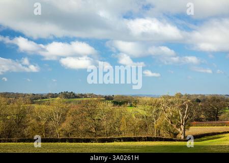 Sanfte, sanfte Landschaft des hohen weald Farmland und Wälder in der Nähe von Great Dixter im Osten Sussex im Südosten Englands Großbritannien Stockfoto