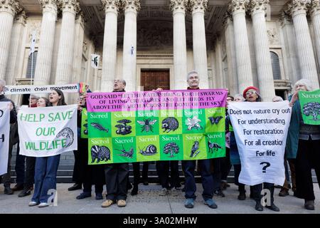 März 2025. St Pauls's Cathedral, London. Singender Flashmob zieht in die St. Paul’s Cathedral, um die Kirche zu fordern, die Natur zu schützen. Im Vorfeld des World Wildlife Day rufen 200 Mitglieder des Climate Choir Movement die Church of England, einen der größten Landbesitzer des Landes, auf, sich dringend mit dem düsteren Zustand ihres Landes in London zu befassen: Ein 200-köpfiger Flash Mob überraschte Besucher und Kirchgänger in der St. Paul’s Cathedral (heute Samstag, 1. März) mit einer musikalischen Botschaft, die die wichtige Rolle der Kirche bei der Wiederherstellung der Natur unterstreicht. Stockfoto