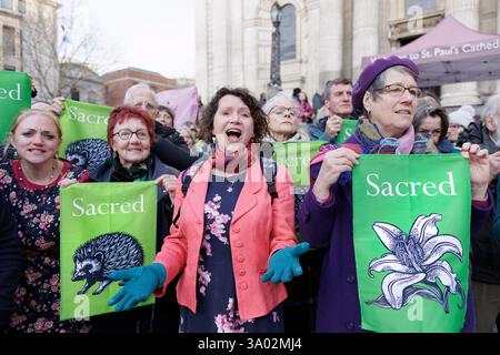 März 2025. St Pauls's Cathedral, London. Singender Flashmob zieht in die St. Paul’s Cathedral, um die Kirche zu fordern, die Natur zu schützen. Im Vorfeld des World Wildlife Day rufen 200 Mitglieder des Climate Choir Movement die Church of England, einen der größten Landbesitzer des Landes, auf, sich dringend mit dem düsteren Zustand ihres Landes in London zu befassen: Ein 200-köpfiger Flash Mob überraschte Besucher und Kirchgänger in der St. Paul’s Cathedral (heute Samstag, 1. März) mit einer musikalischen Botschaft, die die wichtige Rolle der Kirche bei der Wiederherstellung der Natur unterstreicht. Stockfoto