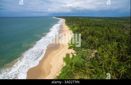 Aerial view of tropical beach lined with lush greenery and ocean waves under cloudy sky. Stockfoto