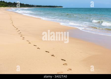 Ruhiger Sandstrand mit Meereswellen und Fußspuren entlang der Küste unter einem klaren blauen Himmel. Stockfoto