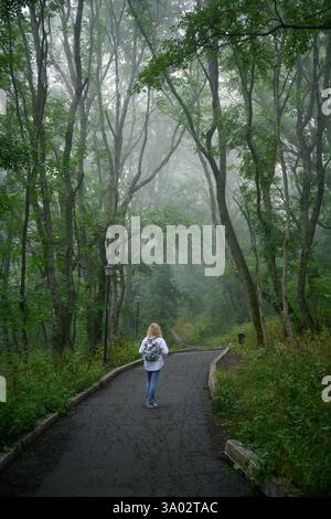 Frau, die auf einem Waldweg mit hohen Bäumen in nebligen grünen Wäldern am nebeligen Morgen läuft. Stockfoto