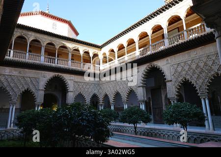 Der Hof der Jungfrauen des Königlichen Alcázar von Sevilla, Andalusien, Spanien Stockfoto