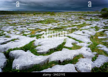 Die Burren Limestone Cliffs und Rocky Plains im County Clare Irland Sind Ein einzigartiges Ökosystem voller Flora und archäologischer Wunder Stockfoto