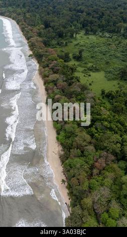Drohnenansicht des Cahuita-Nationalparks in der Karibik von Costa Rica Stockfoto