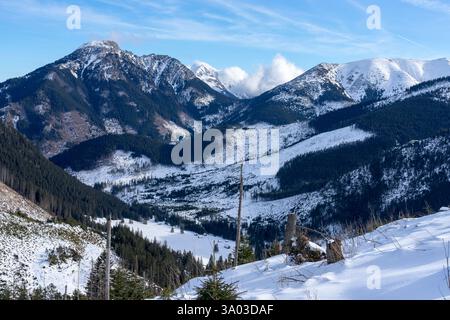 Chocholowska Glade im Winter. Westliche Tatra. Polen. Stockfoto