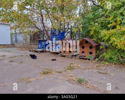 Öffentliche Katzenhäuser, die im Freien, streunende Katzen, obdachlose Katzen in einem Park Unterschlupf bieten; Unterkünfte für obdachlose Katzen Stockfoto