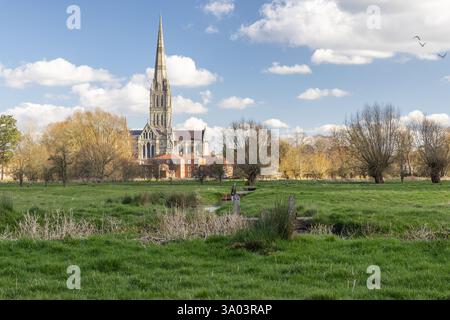 Salisbury Cathedral vom Harnham Water Meadows Path aus gesehen, Salisbury, Wiltshire, England, Großbritannien Stockfoto