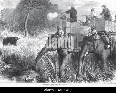Royalty on Tour der Prinz von Wales in der Terai Shooting a Bear, Indien, Asien Stockfoto