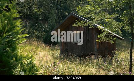 Diese kleine, gemütliche Hütte ist eingebettet in eine abgeschiedene Waldlichtung, ihre Holzwände veraltet durch die Zeit. Stockfoto