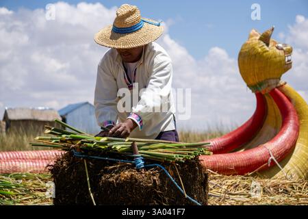 Ein einheimischer Mann schneidet Totora Reeds auf den schwimmenden Uros-Inseln am Titicaca Puno Peru-See mit traditionellem Schilfboot im Hintergrund Stockfoto