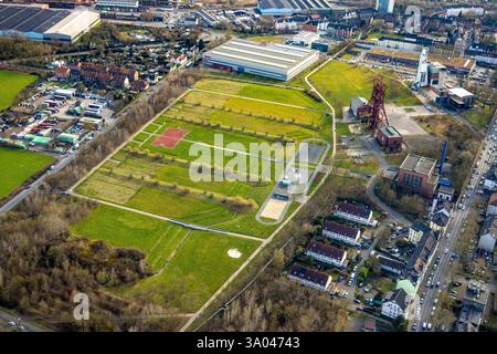 Luftbild, Consol-Park, Emscher Landschaftspark, Freizeitpark und Gärten mit Förderturm, Bepro Blech und Profilstahl GmbH & Co. KG Stahlhändler, Bismarck, Gelsenkirchen, Ruhrgebiet, Nordrhein-Westfalen, Deutschland ACHTUNGxMINDESTHONORARx60xEURO *** Luftansicht, Consol Park, Emscher Landschaftspark, Freizeitpark und Gärten mit Windeturm, Bepro Blech und Profilstahl GmbH Co KG Stahlhändler, Bismarck, Gelsenkirchen, Ruhrgebiet, Nordrhein-Westfalen, Deutschland ACHTUNGxMINDESTHONORARx60xEURO Stockfoto