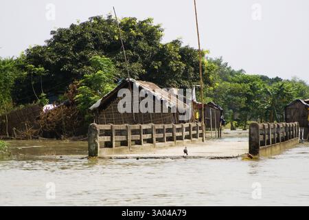 KOSI-Flutflut im Jahr 2008, Bezirk Purniya, Bihar, Indien, Asien Stockfoto