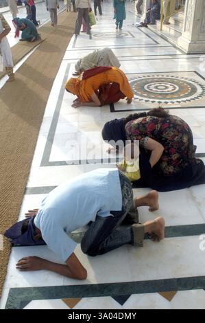 Sikh betet im goldenen Tempel, Amritsar, Punjab, Indien, Asien Stockfoto