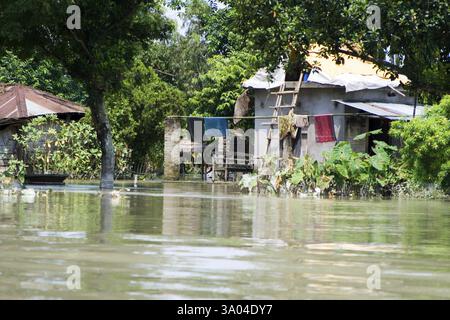 KOSI-Flutflut im Jahr 2008, Bezirk Purniya, Bihar, Indien, Asien Stockfoto