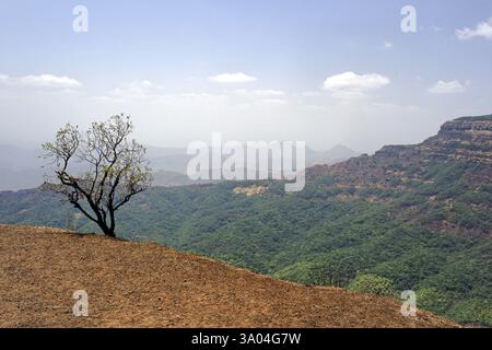 Blick von Elephant Point Western Ghats, Mahableshwar Mahabaleshwar, Maharashtra, Indien, Asien Stockfoto