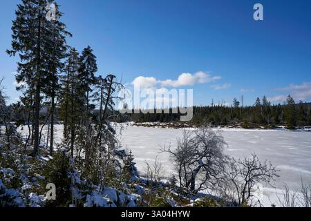 Sonniges Winterwetter am 02.03.2025 beim zugefrorenen Oderteich im Harz in Niedersachsen, Deutschland sonniges winterliches Wetter am 2. Vom März 2025 am gefrorenen Oderteich im Harz, niedersachsen Stockfoto