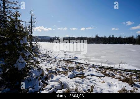 Sonniges Winterwetter am 02.03.2025 beim zugefrorenen Oderteich im Harz in Niedersachsen, Deutschland sonniges winterliches Wetter am 2. Vom März 2025 am gefrorenen Oderteich im Harz, niedersachsen Stockfoto