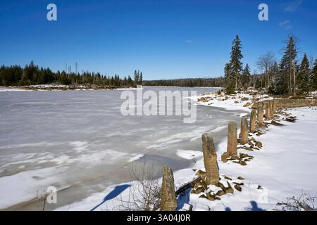 Sonniges Winterwetter am 02.03.2025 beim zugefrorenen Oderteich im Harz in Niedersachsen, Deutschland sonniges winterliches Wetter am 2. Vom März 2025 am gefrorenen Oderteich im Harz, niedersachsen Stockfoto