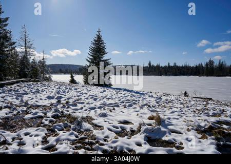 Sonniges Winterwetter am 02.03.2025 beim zugefrorenen Oderteich im Harz in Niedersachsen, Deutschland sonniges winterliches Wetter am 2. Vom März 2025 am gefrorenen Oderteich im Harz, niedersachsen Stockfoto