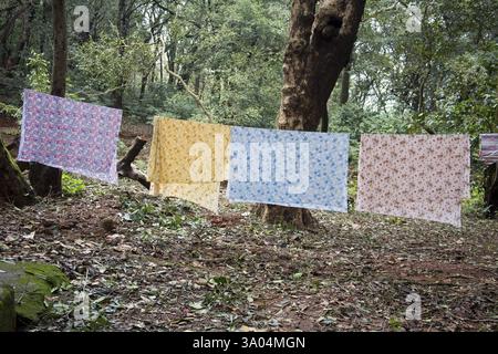 Bunte Bettlaken, die am Seil getrocknet werden, Matheran, Maharashtra, Indien, Asien Stockfoto
