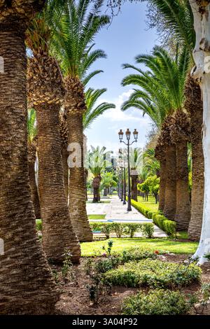 Fès, Marokko - 19. März 2024: Garten des königlichen Palastes von Fès, Marokko Stockfoto