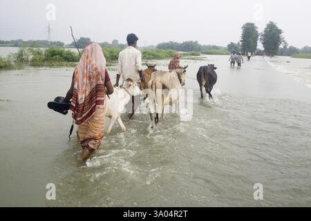 Die Flutflut des KOSI im Jahr 2008, die die meisten Menschen unter der Armutsgrenze im Bezirk Purniya, Bihar, Indien, Asien, litten Stockfoto