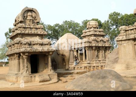 Fünf Rathas Pancha Rathas Tempel, erbaut im 7. Jahrhundert, Mahabalipuram Mamallapuram, Tamil Nadu, Indien, Asien Stockfoto