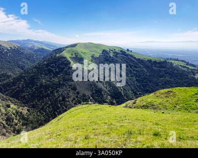 Ein malerischer Blick auf das zerklüftete Gelände des Alum Rock Park bietet lebendige, grasbewachsene Hänge mit Wanderwegen, schattige Täler und entfernte städtische San Jos Stockfoto